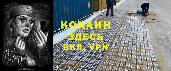 гашик Богданович
