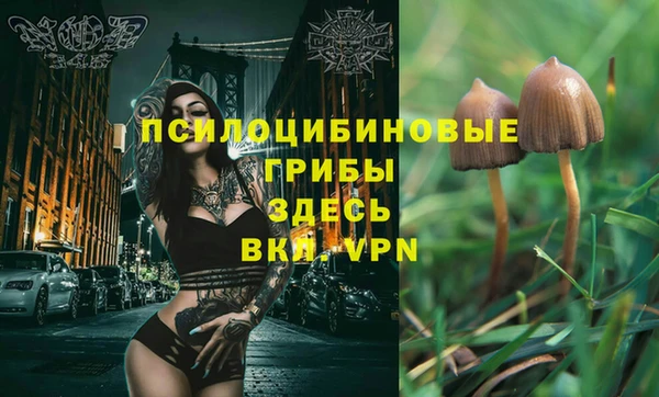 гашик Богданович