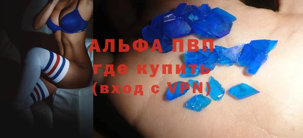 гашик Богданович