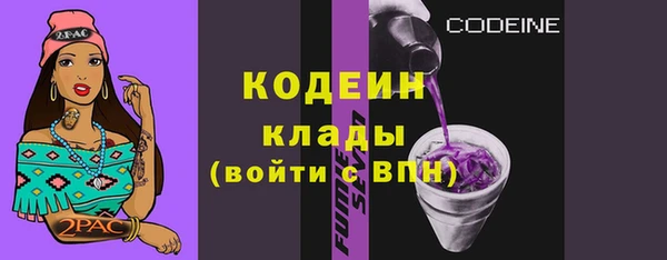 гашик Богданович