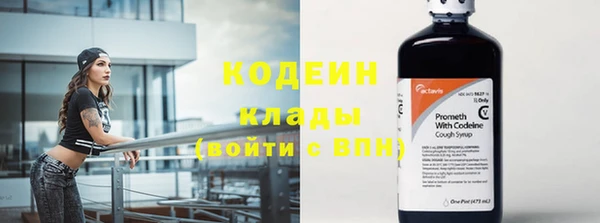 гашик Богданович