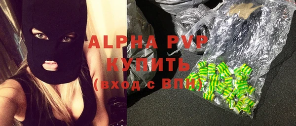 гашик Богданович