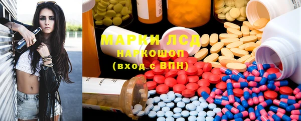 гашик Богданович